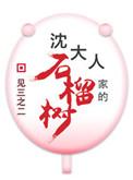 沈大人家的石榴树(重生) 番外