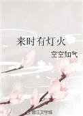 来时有灯火百度