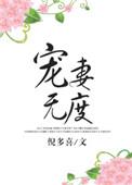 靳少宠妻无度