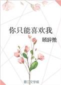 你只能喜欢我别再为别人心动歌