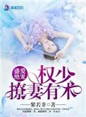 盛爱绝宠权少撩妻有术免费