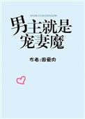 男主宠妻的都市玄幻