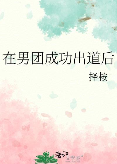 在男团成功出道后txt