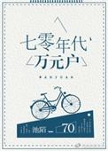 七零年代万元户讲的什么