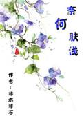 奈何肤浅书评