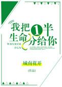 我把一半生命分给你txt