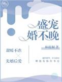 盛宠婚不晚 作者林疏桐