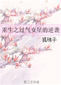 重生之过气女明星逆袭