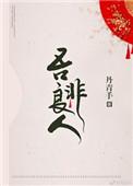 吾非良人 丹青手 txt
