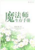 魔法生存汉化破解