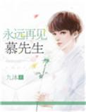 再见了我的慕先生
