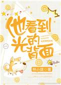 他看到光的背面女主的孩子究竟是谁的