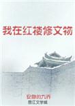 我在红楼修文物txt