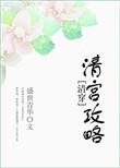 清宫攻略 百度