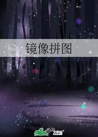 镜像拼图全文免费阅读