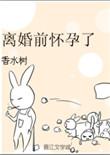 离婚前怀孕了by香水树百度