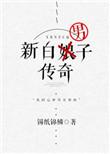 新白男子传奇全文阅读