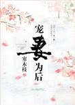 宠妻为后好看吗