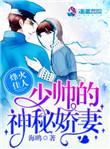 烽火佳人少帅的神秘娇妻海鸥著