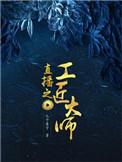 直播之工匠大师女主