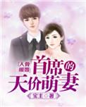 入骨暖婚首席的天价萌妻免费
