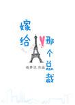 嫁给那个总裁番外无错版