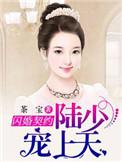 陆少夫人好意外