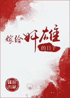 嫁给奸雄的日子笔趣阁无弹窗