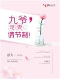 九爷宠妻请节制无删减