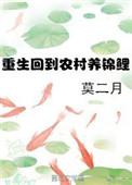 重生农村养娃日常