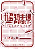 储物手镯也跟着过来了