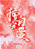 书名擅自宠爱