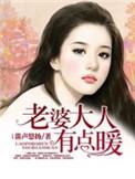 老婆大人有点暖全文免费阅读全文!