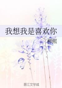 我想我是爱你
