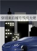 穿回来后嫁给残疾大佬全文免费
