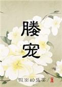 媵宠 晋江
