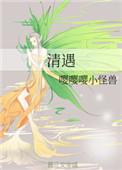 时墨苏清遇