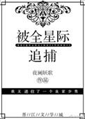 被全星际追捕重生番外