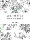 送你一枝野百合无弹窗
