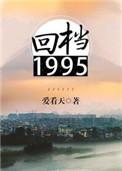回档1995讲什么