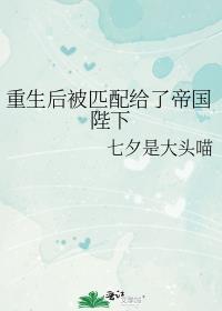 重生后被匹配给了帝国陛下晋江