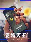 宠物天王精校TXT全本
