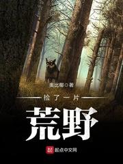 我捡了一片荒野