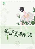 快穿之极品打婊专家
