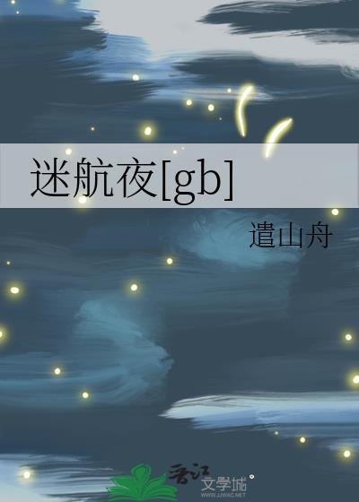 迷航什么意思