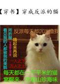 穿成反派的猫txt全文