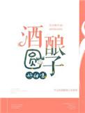 酒酿圆子很甜