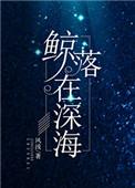 鲸落深海中的温柔孤岛阅读理解