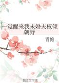一觉醒来我未婚夫权倾朝野 青帷讲的什么