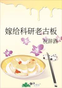 嫁给科研老古板TXT百度